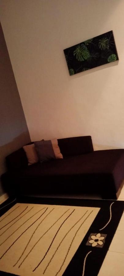 Belebar Studio Room Taman Negara Pahang Malaysia 瓜拉大汉 外观 照片